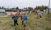 Педагогический сад