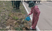 Педагогический сад