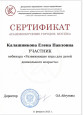 Вебинар. Развивающие игры для детей дошкольного возраста
