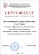 Вебинар. Эффективные педагогические практики по формированию  нравственно-патриотических чувств у детей старшего  дошкольного возраста