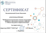 «Нейропсихологические основы подготовки ребёнка к обучению в рамках занятий в «Школе будущего первоклассника»