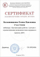 Вебинар. Организация работы с детьми ОВЗ в группах ДОУ