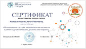 Использование системы развивающих авторских игр в работе с детьми старшего дошкольного возраста