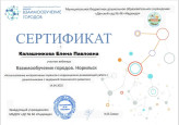 интерактивные сервисы в коррекционно-развивающей  работе  с дошкольниками с задержкой психического развития
