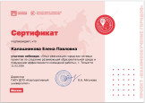 Опыт реализации городских сетевых проектов по созданию развивающей образовательной среды и повышению эффективности командной работы