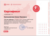 От идеи к делу: создание эффективной модели патриотического воспитания 