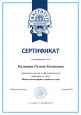 папка