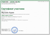Викторины, олимпиады
