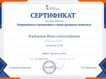 Сертификат участника вебинара "Русское слово"