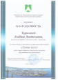 Благодарности 