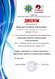 Личные достижения