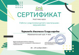 Участие в вебинарах, семинарах