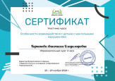 Участие в вебинарах, семинарах