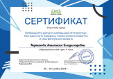 Участие в вебинарах, семинарах