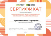 Участие в вебинарах, семинарах
