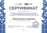 Участие в вебинарах, семинарах