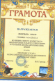 Достижения  учеников