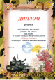 Достижения  учеников