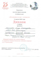 Достижения  учеников
