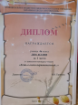 Достижения  учеников