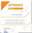 Мои достижения