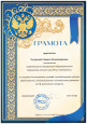 Наличие отмеченных профессиональных достижений 