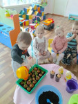 "Волшебные всходы"
