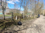 Экологического субботника "Зеленая весна - 2024"