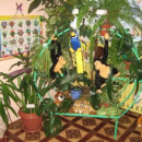 Смотр-конкурс «Лучший уголок природы»