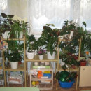 Смотр-конкурс «Лучший уголок природы»