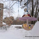 Областная акция "Покормите птиц" 