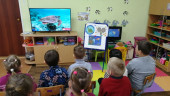 Всемирный день черепахи