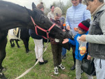 Тур выходного дня 