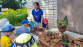 Суккулентов дивный сад приглашает дошколят