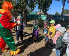 День знаний 