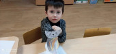 День кошек 