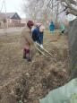 Всероссийский субботник 