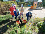Всероссийский экологический субботник  " Зеленая Россия"