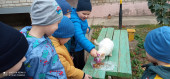 День защиты животных 