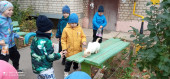 День защиты животных 