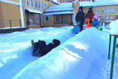 14.01.2021  "Звездный трудовой десант"