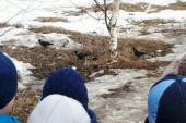 09.04.2021  Весна идет! Весне - дорогу!