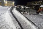14.01.2021  "Звездный трудовой десант"