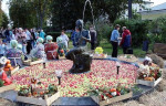 11.09.2021  День города и День Волжского бульвара