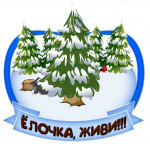 22.12.2021  Экологический проект "Берегите елочку!"
