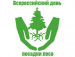 20.05.2022  Акция "Зеленая красавица"