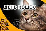 11.08.2022  День кошек