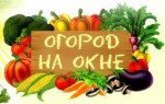 31.03.2023  Акция "Огород на окне"