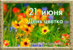 21.06.2023  День цветка