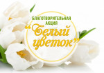 09.08.2023  Благотворительная акция "Белый цветок"